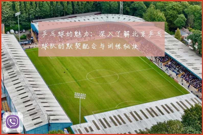 乒乓球的魅力：深入了解北京乒乓球队的默契配合与训练秘诀