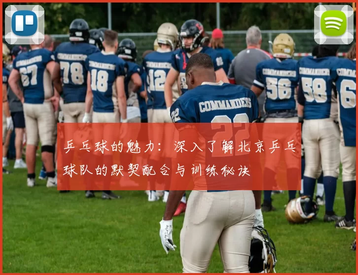 乒乓球的魅力：深入了解北京乒乓球队的默契配合与训练秘诀