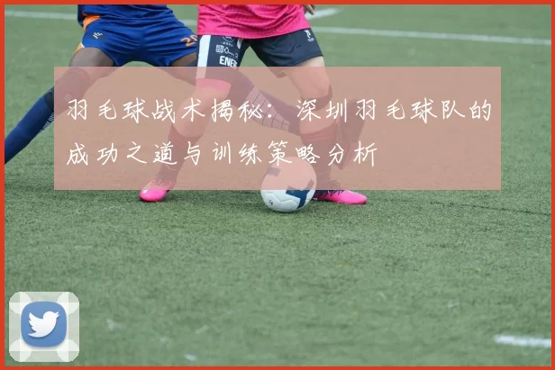 羽毛球战术揭秘：深圳羽毛球队的成功之道与训练策略分析