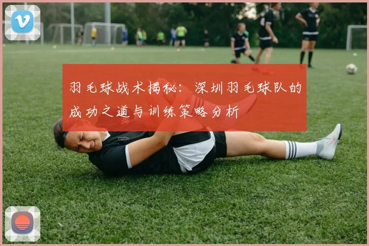 羽毛球战术揭秘：深圳羽毛球队的成功之道与训练策略分析