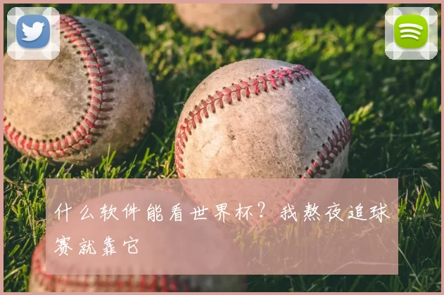 什么软件能看世界杯?我熬夜追球赛就靠它