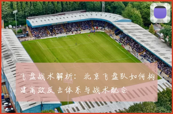 飞盘战术解析：北京飞盘队如何构建高效反击体系与战术配合