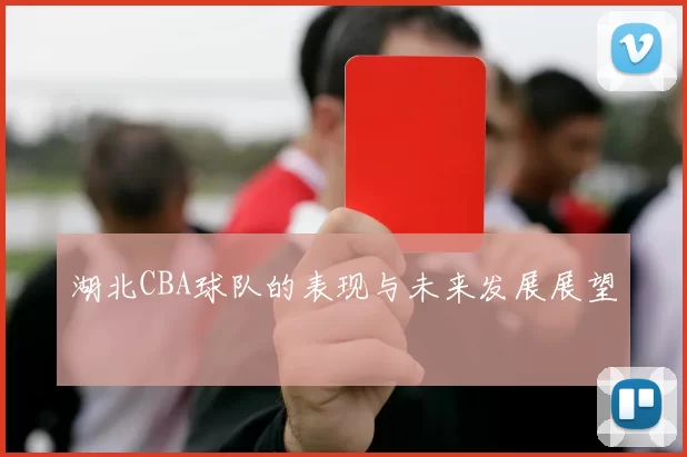 湖北CBA球队的表现与未来发展展望