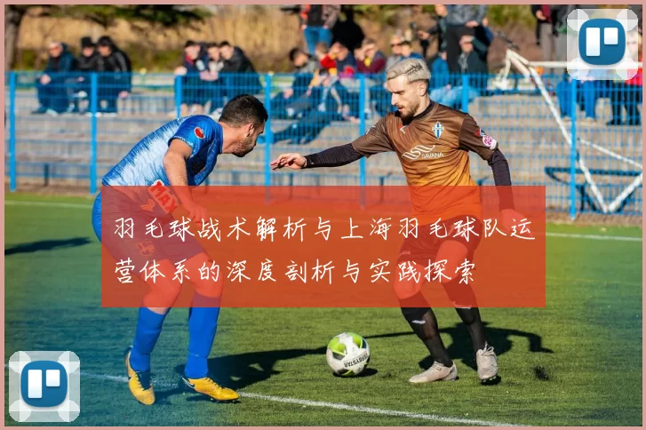 羽毛球战术解析与上海羽毛球队运营体系的深度剖析与实践探索