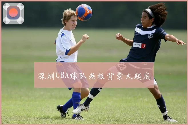 深圳CBA球队老板背景大起底