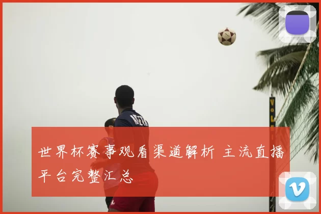 世界杯赛事观看渠道解析 主流直播平台完整汇总