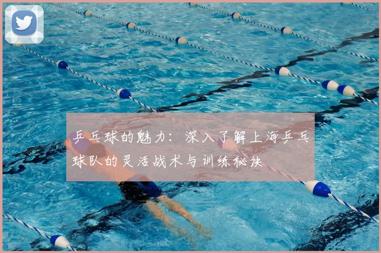 乒乓球的魅力：深入了解上海乒乓球队的灵活战术与训练秘诀