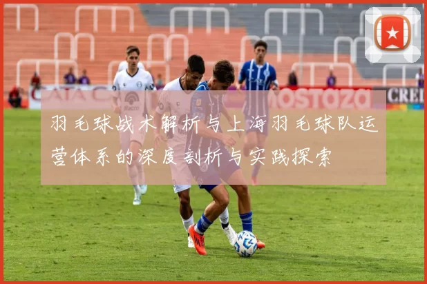 羽毛球战术解析与上海羽毛球队运营体系的深度剖析与实践探索