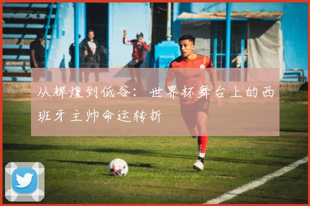 从辉煌到低谷：世界杯舞台上的西班牙主帅命运转折